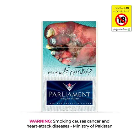 Parliament Pall Mall
