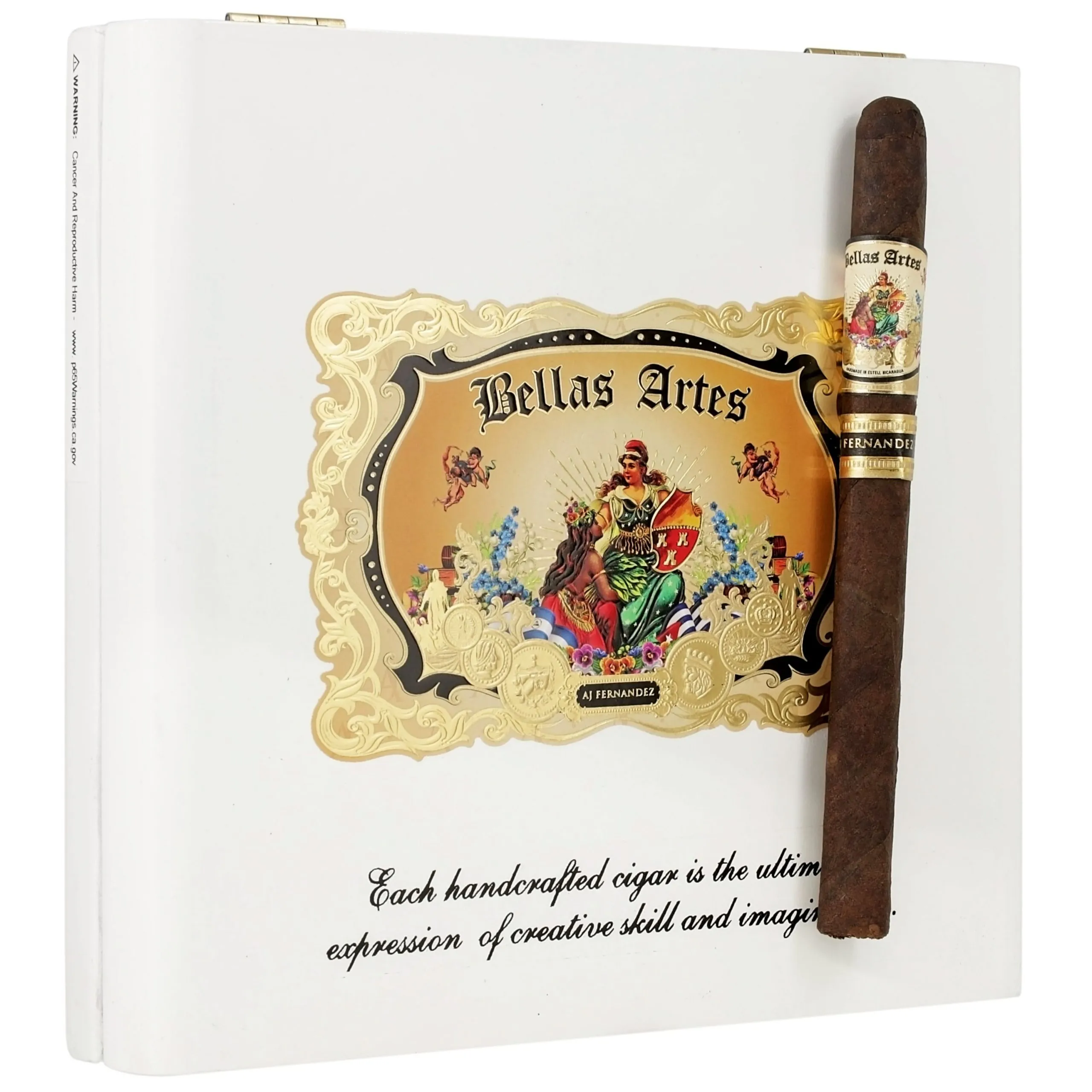 Bellas Artes Lancero
